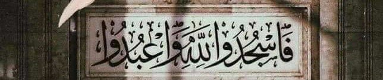 aba_rashed