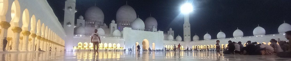 Mohammad Moin Tariq