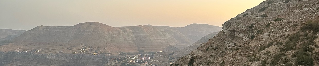 Adamelbizri