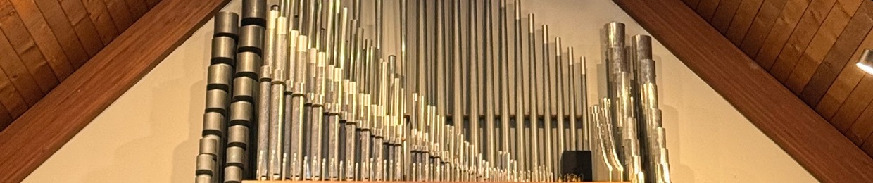 CNY Organist - Logan Blackman