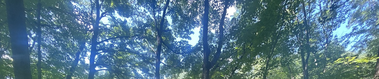 XCENO100