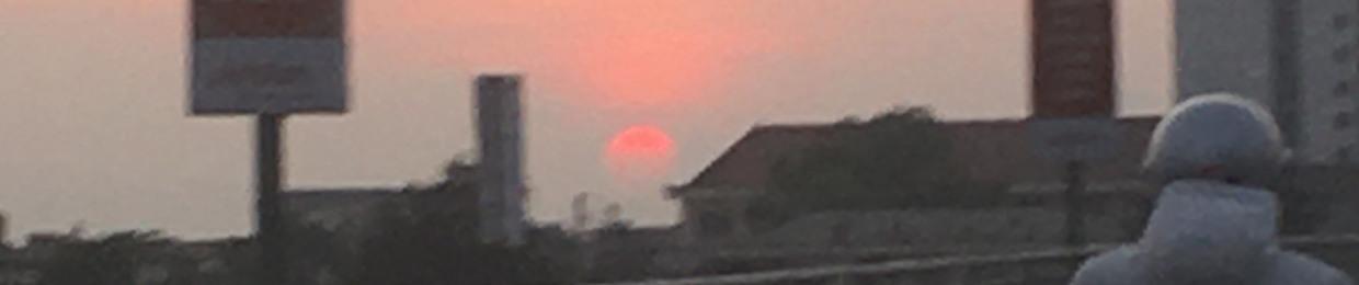 đỗ triệu bảo
