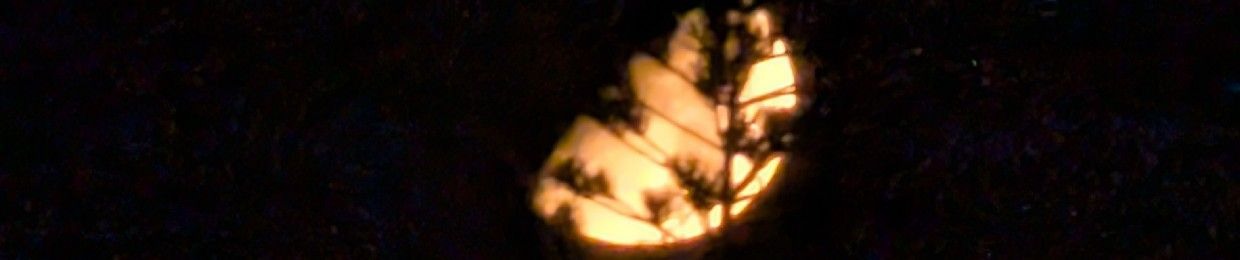 Hadeera🕊️Badr🌕