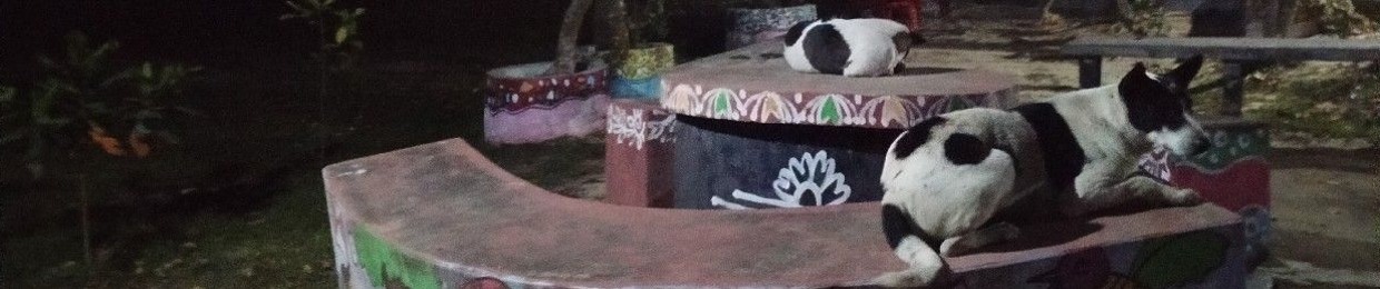 Pir Shaheb