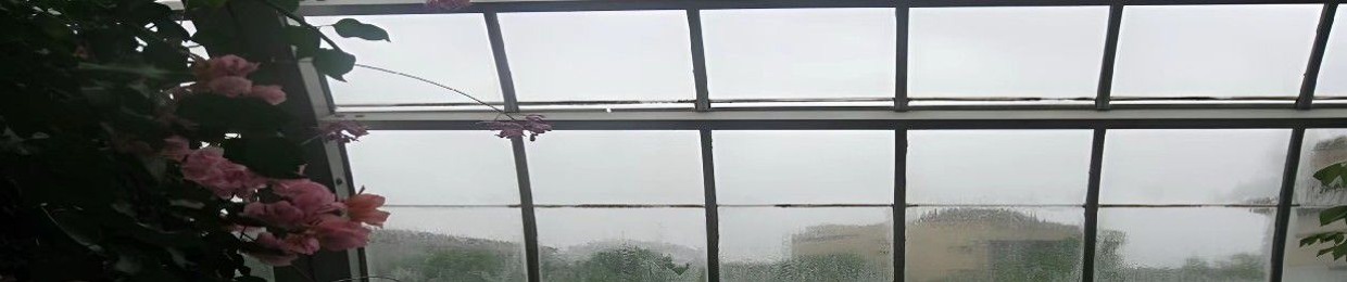 lintecc