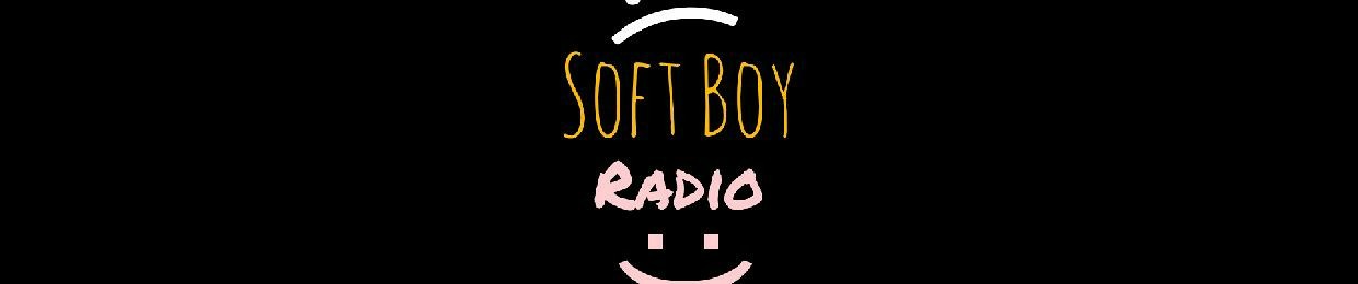 SoftBoy Radio