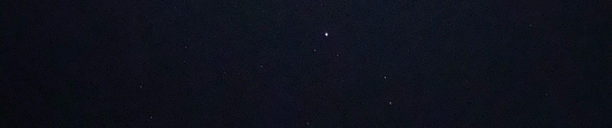 한시hansi