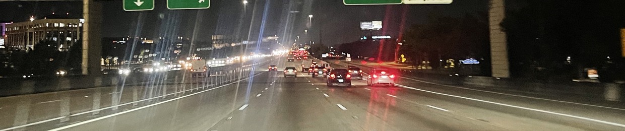 ♡I Dreamt Of Clay Flowers♡