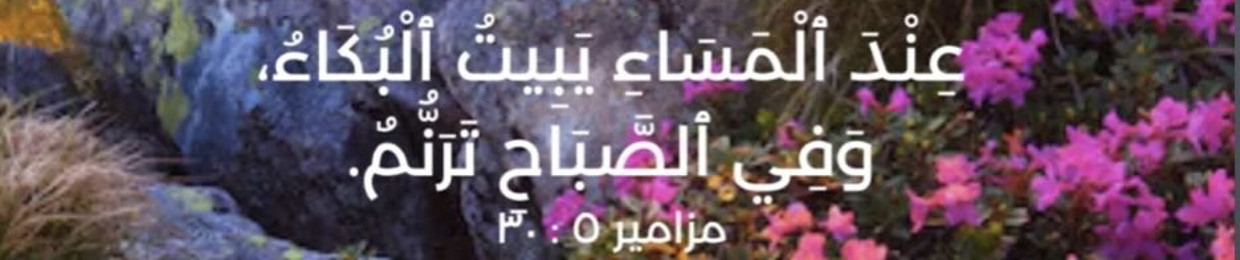 mariam awny