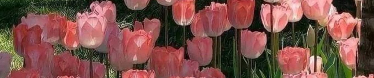 🌷
