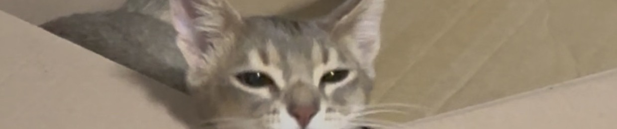 di