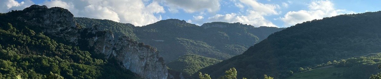 JEUNE CASTILLO