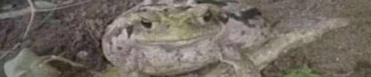 22KG