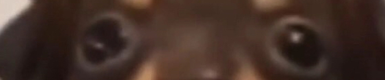 nguyễn quang dũng