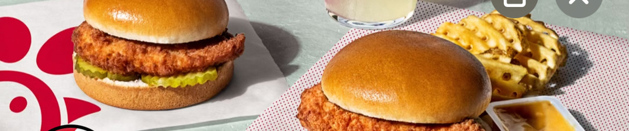 ChickenSammy