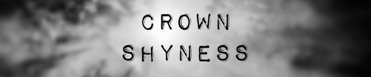 crown shyness