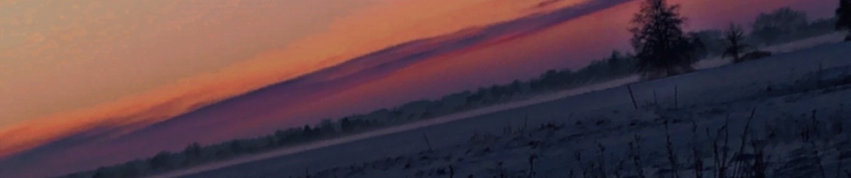 Dark_Ghost