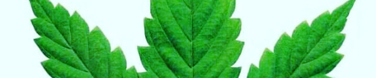 Wwrld Herbalist