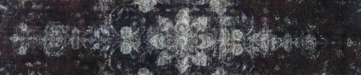BAGUVIX