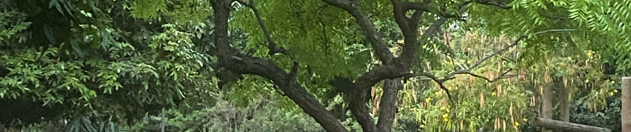 Ядерный Синтез ВоскресшегоДеда