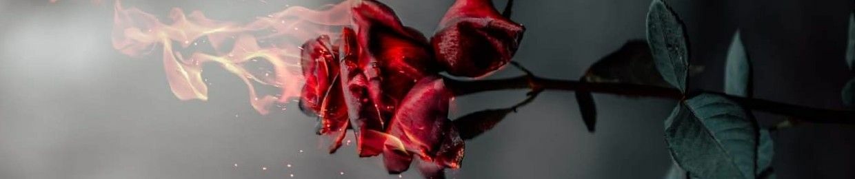 انا مشوفتش فترة اسوء من الفترة اللي انا فيها دي😔