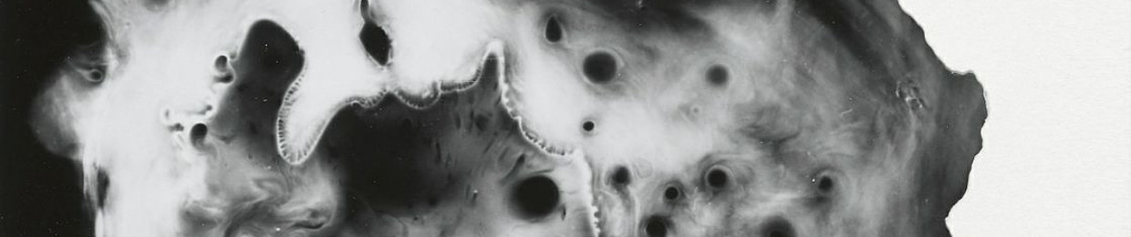 hikigaeru