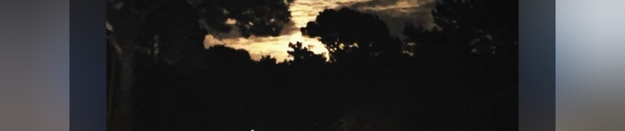 flozz7i