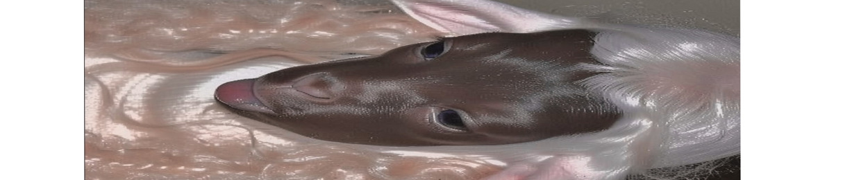 t! m3ny4 1y8!5h‽♡†