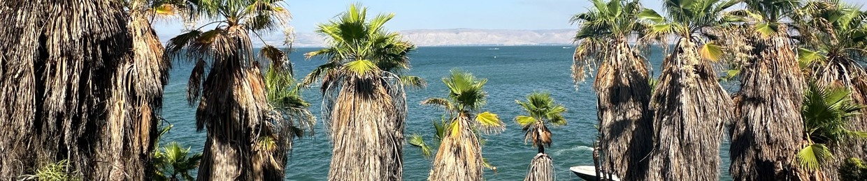 קארין דובלטיאן