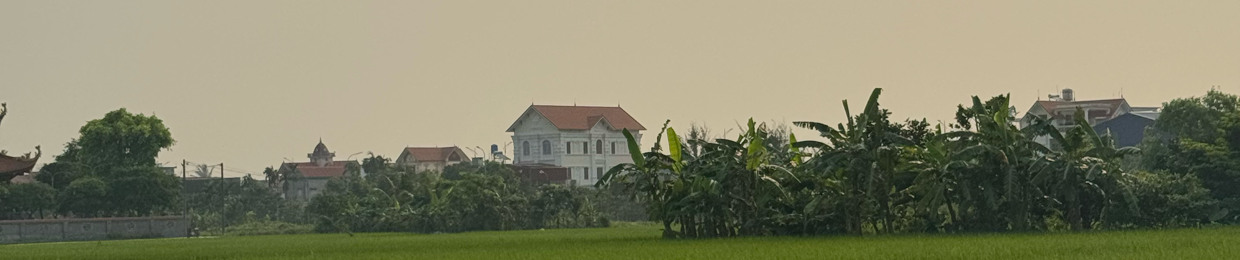 Nguyễn Quang