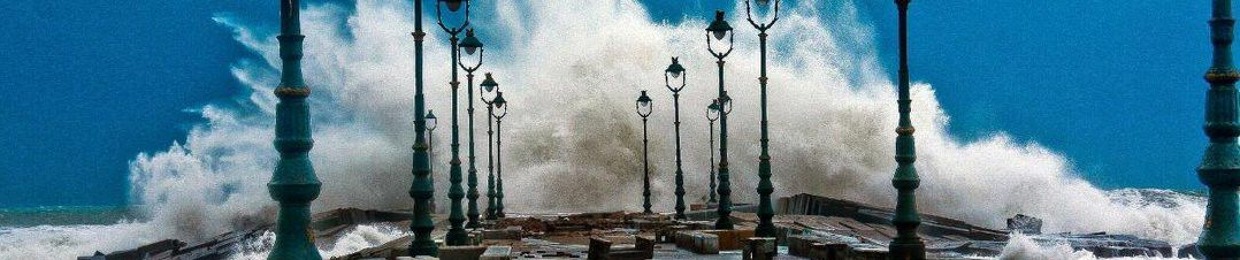 Mohamed Hassan Mousa