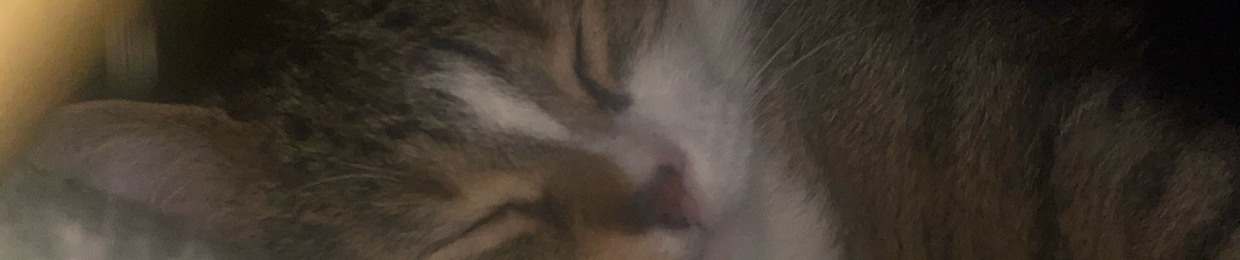racoon4lif3