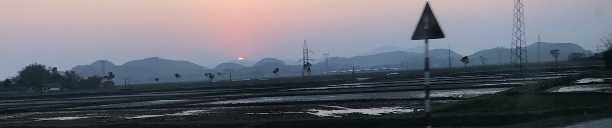 Nguyễn Ngọc Hải Triều