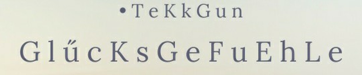 TeKkGun