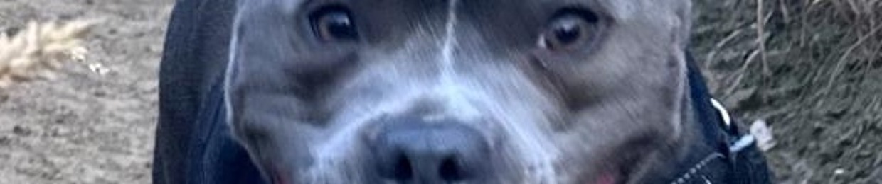 Gully Selectas [Collective]