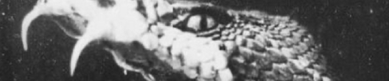 welwenko