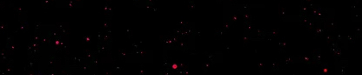 Cosmic2Active