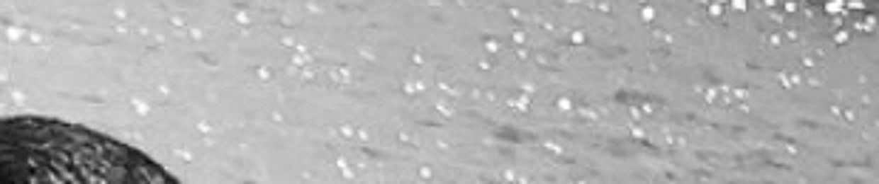 Асиф Эйвазов