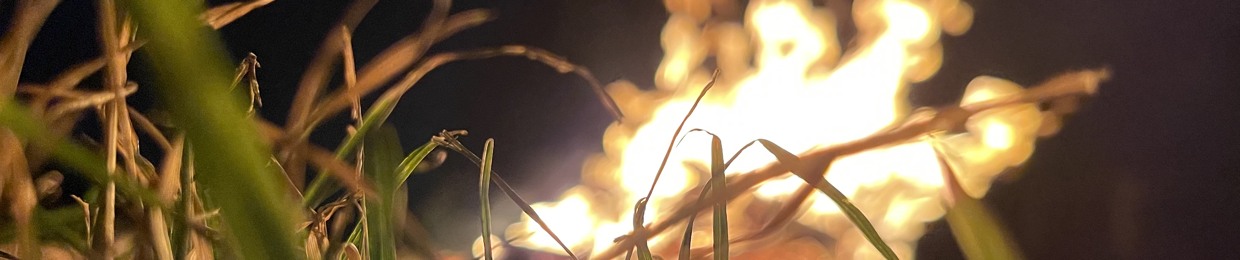 at home he‘s a tourist