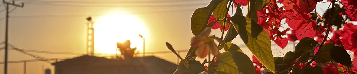 سُهَيْل بن عبدالله