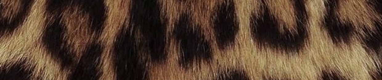 ‏ᴊᴀ.