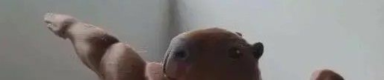 wappiti1