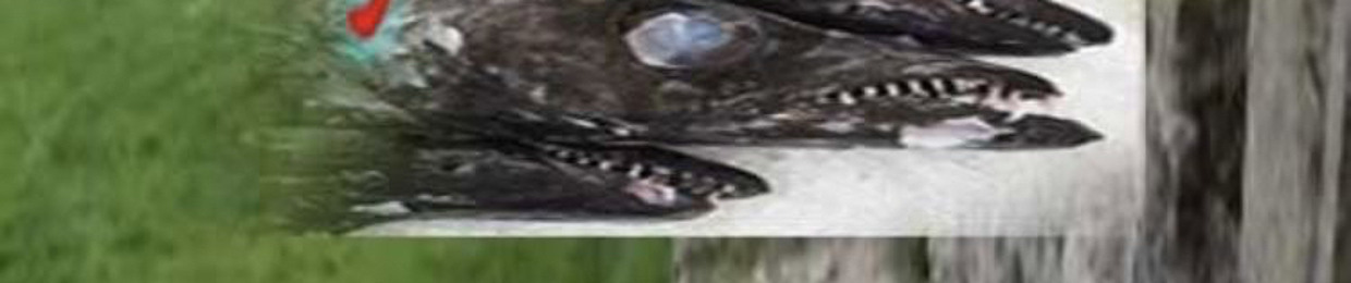 sarlo69