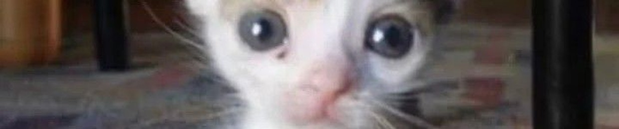 MMmihaMM