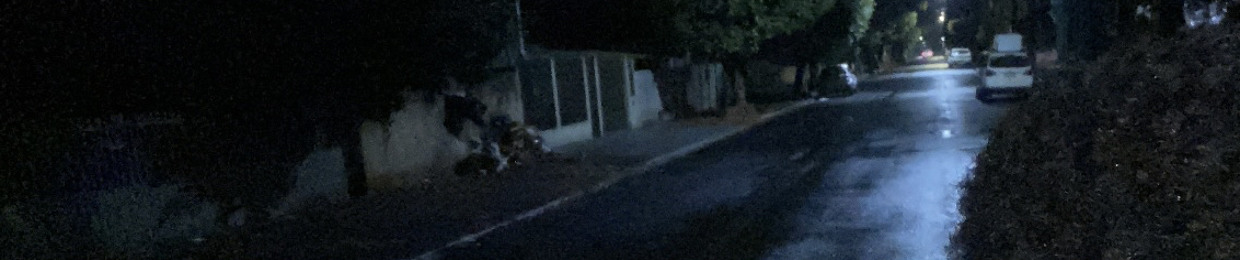 marcelviiana