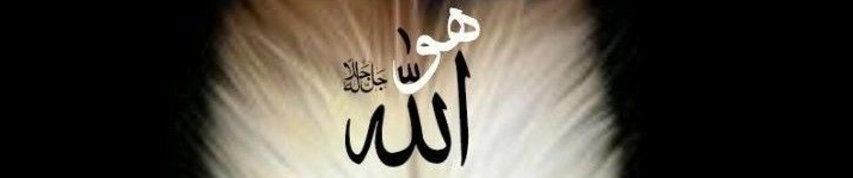 Shami