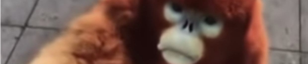 Steven