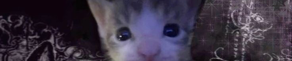 👾
