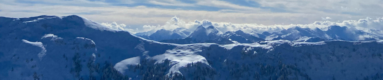 DÆN