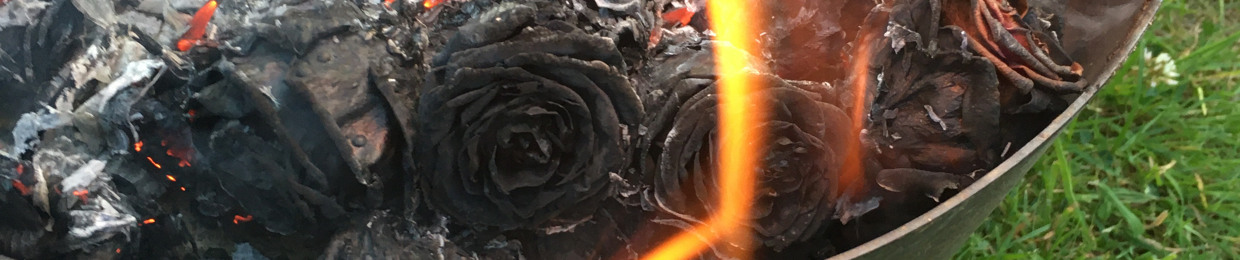 Tredti1312